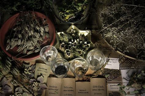 Wiccan herb magic for protection